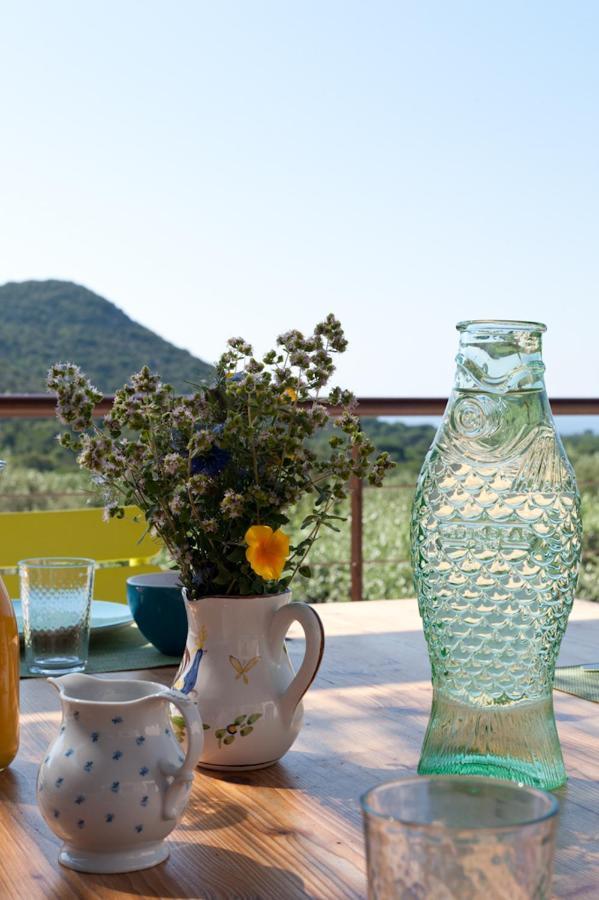 Maison Tavolara Porto-Vecchio  Buitenkant foto